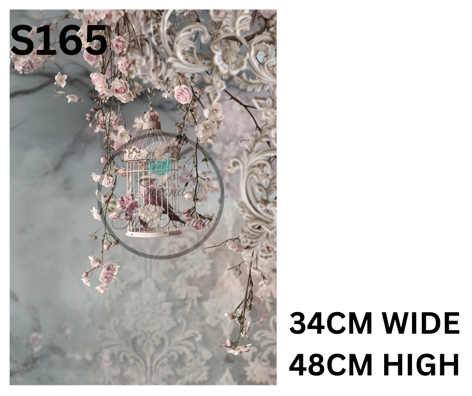 S165