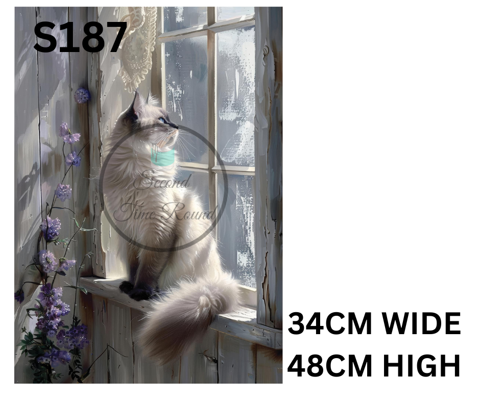 S187