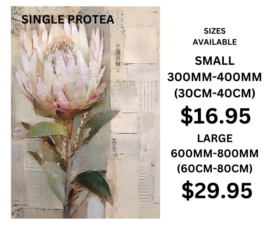 SINGLE PROTEA